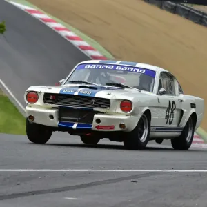 CM7 8496 Frans van Maarschalkerwaart, Shelby Mustang GT350 CM7 8496 Frans van Maarschalkerwaart, Shelby Mustang GT350