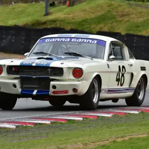 CM7 8559 Print - Frans van Maarschalkerwaart in a Shelby Mustang GT350 CM7 8559 Print - Frans van Maarschalkerwaart in a Shelby Mustang GT350