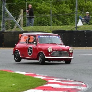 Austin Mini Coopers Print Austin Mini Coopers Print