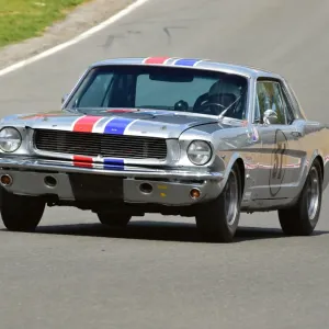 CM8 2319 Nicholas King, Ford Mustang CM8 2319 Nicholas King, Ford Mustang