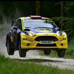 Ford Fiesta R5 Print Ford Fiesta R5 Print
