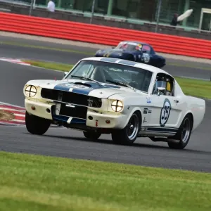 Ford Mustang GT350 Print Ford Mustang GT350 Print