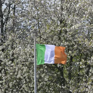 CZ1_9896 Eddie Jordan tribute, Irish flag.jpg CZ1_9896 Eddie Jordan tribute, Irish flag.jpg