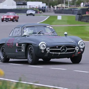 CZ2_0411 Hans Kleissl, Mercedes-Benz 300 SL, Gullwing.jpg CZ2_0411 Hans Kleissl, Mercedes-Benz 300 SL, Gullwing.jpg