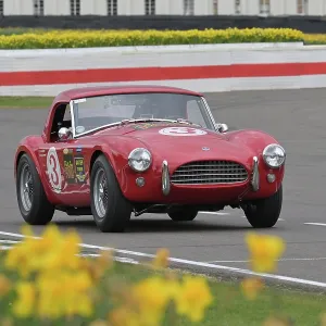 CZ2_0412 John Spiers, Shelby Cobra 260.jpg CZ2_0412 John Spiers, Shelby Cobra 260.jpg