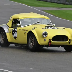 CZ4_5704 Jacques Villeneuve, Nick Sleep, Shelby Cobra.jpg CZ4_5704 Jacques Villeneuve, Nick Sleep, Shelby Cobra.jpg