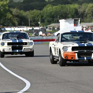 CZ4_7013 Nick Sleep, Ford Shelby Mustang GT350, James Alexander, Ford Shelby Mustang GT350.jpg CZ4_7013 Nick Sleep, Ford Shelby Mustang GT350, James Alexander, Ford Shelby Mustang GT350.jpg
