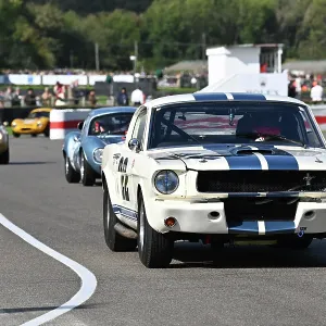 CZ4_7014 James Alexander, Ford Shelby Mustang GT350.jpg CZ4_7014 James Alexander, Ford Shelby Mustang GT350.jpg