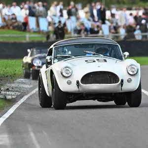 CZ4_7301 Andrew Jordan, Matthew Holme Shelby Cobra Print CZ4_7301 Andrew Jordan, Matthew Holme Shelby Cobra Print