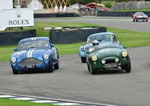 Anthony Hansford - AC Ace and Franc Hofermann-Kiefer - Aston Martin DB2 / 4 MkIII