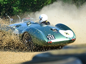 Aston Martin Centenary Prints: Aston Martin Centenary