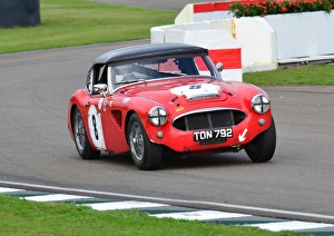 Austin Healey, David Smithies, Goodwood Revival 2013