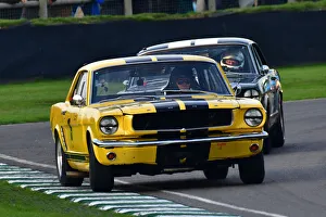 Pierpoint Cup Prints: CJ10 0752 Alex Taylor, Andy Priaulx, Ford Mustang