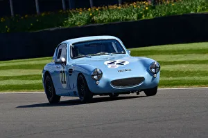 Weslake Cup Prints: CJ10 5496 Gerry Buggy, Austin Healey Sebring Sprite