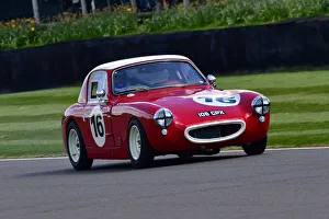 Weslake Cup Prints: CJ10 5503 Ellis Bardsley, Austin Healey Sebring Sprite