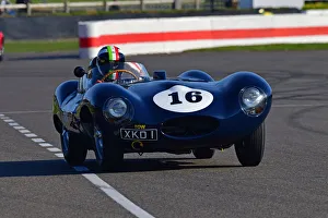 Peter Collins Trophy Prints: CJ10 6361 Marino Franchitti, Jaguar D-Type