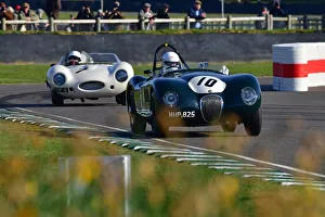 Daffodils Prints: CJ10 6395 Nicolas Bert, Jaguar C-Type, Gary Pearson, Jaguar D-Type