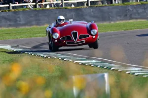 Daffodils Prints: CJ10 6398 Christopher Mann, Alfa Romeo 3000, Disco Volante