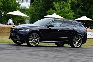 CJ11 4119 Jaguar F-Pace 1988 Edition