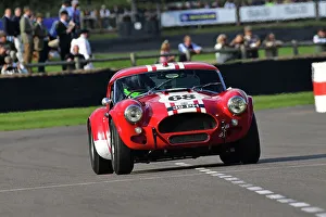 CJ12 1522 Gregor Fisken, Dario Franchitti, AC Cobra