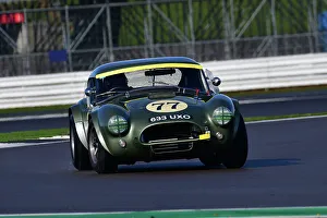 HRDC Dunlop Allstars With HRDC Classic Alfa Challenge, Motor Racing Legends Prints: CJ12 4038 David Methley, AC Cobra