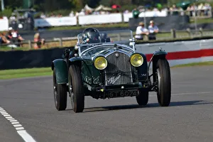 CJ13 2968 Stephan Rettenmaier, Jakob Rettenmaier, Alfa Romeo 8C 2300 LM