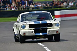 James Alexander Prints: CJ13 5405 James Alexander, Ford Shelby Mustang GT350