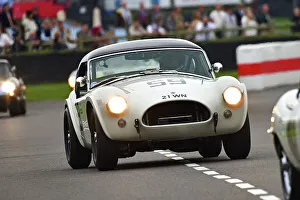 CJ14 9334 James Cottingham, Richard Cook, AC Cobra
