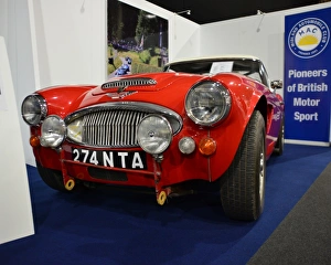 Race Retro 2013 Prints: CJ3 0568 Austin Healey, 274 NTA
