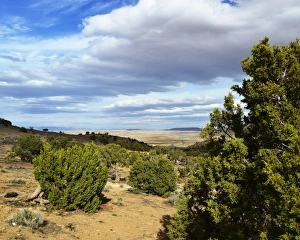 Utah Prints: CJ3 3296 Harleys Dome panorama