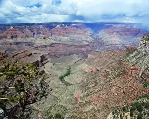USA Collection: CJ3 3765 Grand Canyon vista