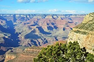 USA Collection: CJ3 3823 Grand Canyon vista