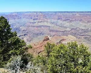 USA Collection: CJ3 3894 View from Rim Trail, Yaki Point
