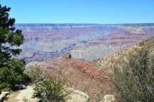 USA Collection: CJ3 3927 View from Rim Trail, Yaki Point