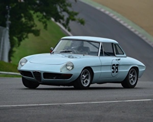 CJ4 9310 Anthony Ross, Alfa Romeo Spyder 1750