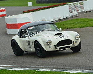Goodwood Revival 2014 Friday Prints: CJ5 5741 Darren Turner, Rory Henderson, AC Cobra