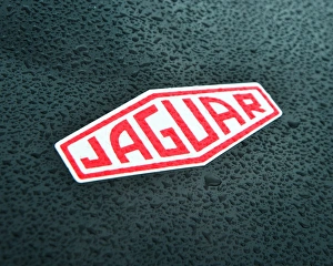 CJ6 5031 Martin Stretton, Jaguar E-Type CJ6 5031 Martin Stretton, Jaguar E-Type