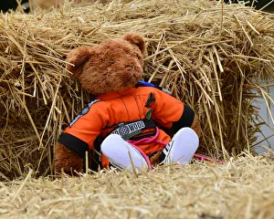 CJ7 9711 Marshal Bear
