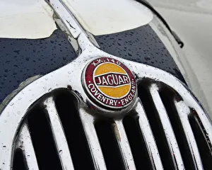 CJ7 9895 Marc Gordon, Jaguar XK140 FHC