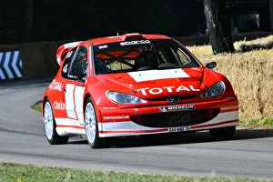 CJ9 0522 Mark Turner, Peugeot 206 WRC