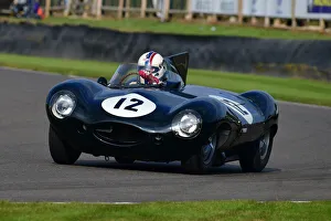 CJ9 8189 Steve Brooks, Jaguar D-Type