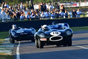 CJ9 9263 John Young, Jaguar D-Type Long Nose