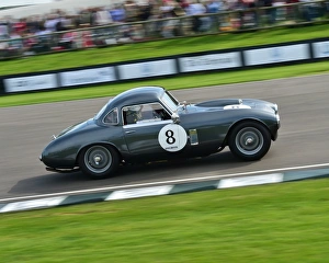 Fifties Prints: CM10 4415 Nicholas Pellett, Frazer Nash Le Mans Coupe