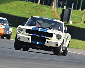 CM13 4864 Paul Chase-Gardener, David Allen, Ford Shelby Mustang GT350 CM13 4864 Paul Chase-Gardener, David Allen, Ford Shelby Mustang GT350