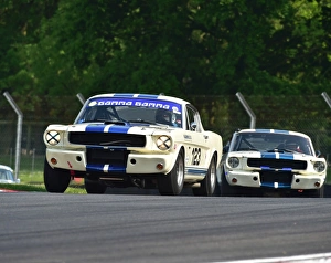 CM13 4900 Marcel van Laarhoven, Shelby Mustang CM13 4900 Marcel van Laarhoven, Shelby Mustang