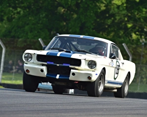 CM13 4901 Paul Chase-Gardener, David Allen, Ford Shelby Mustang GT350 CM13 4901 Paul Chase-Gardener, David Allen, Ford Shelby Mustang GT350