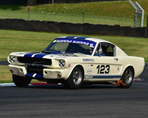 Masters Historic Festival - Brands Hatch - May 2016 Prints: CM13 5100 Marcel van Laarhoven, Shelby Mustang