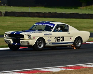 CM13 5115 Marcel van Laarhoven, Shelby Mustang CM13 5115 Marcel van Laarhoven, Shelby Mustang