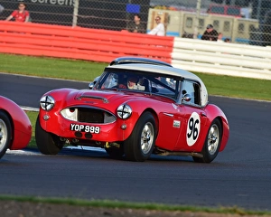 Silverstone Classic 2016 Prints: CM15 3074 Jeremy Welch, Nils Fredrik Nyblaeus, Austin Healey 3000