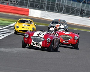 Bentley Drivers Club, Silverstone Race Meeting Prints: CM15 5167 Jonathan Abecassis, Austin Healey 100-4